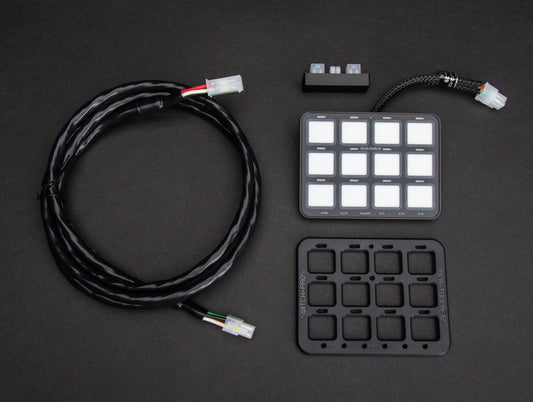Switch-Pros RCR-FORCE® 12 Twelve Switch Remote Panel System